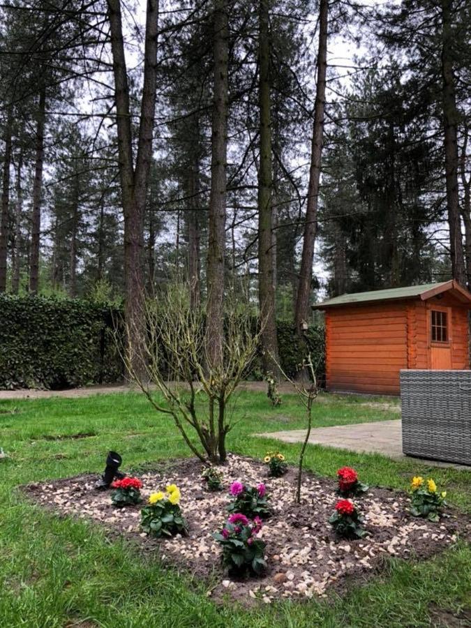 Luxe Vakantiehuis In Het Bos Overbroek Eksteriør bilde